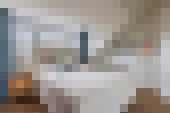 Zingerskamp 4 Laren thumbnail 34