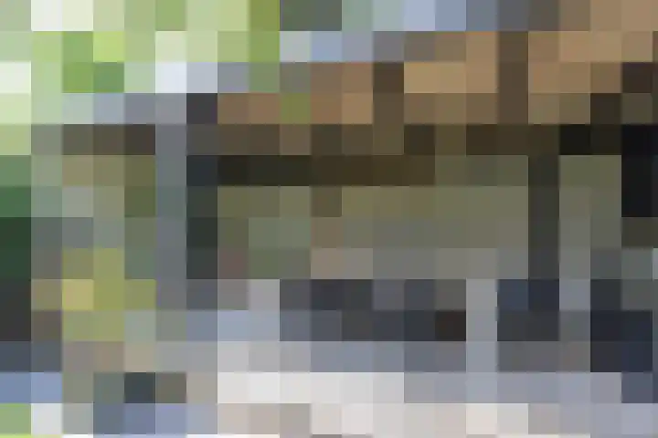 Zingerskamp 4 Laren thumbnail 4