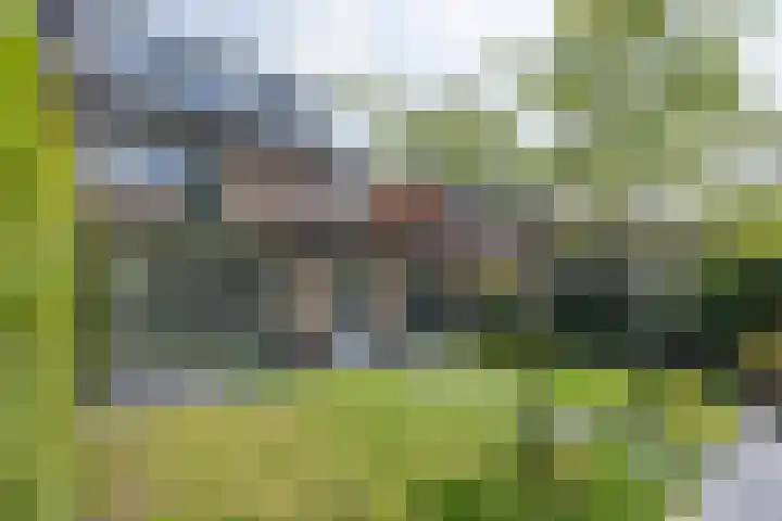 Zingerskamp 4 Laren thumbnail 41