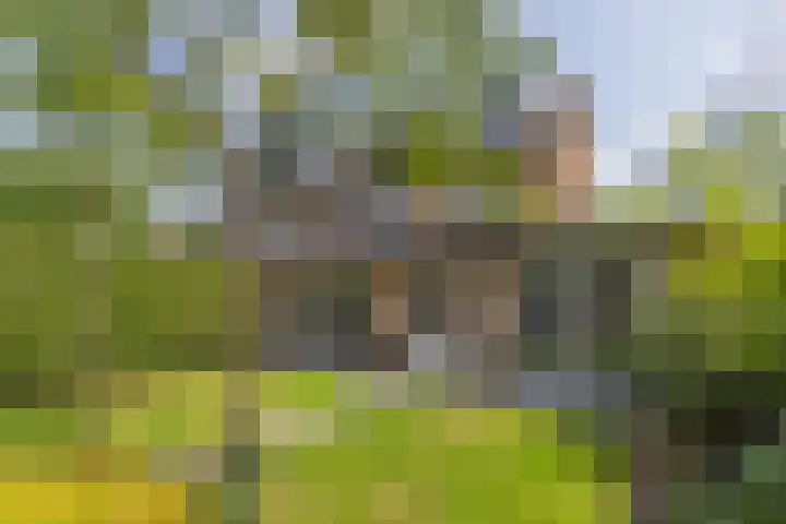 Zingerskamp 4 Laren thumbnail 42