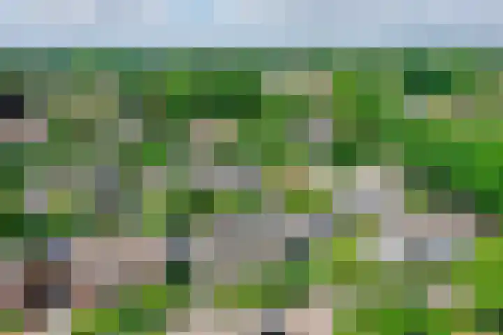 Zingerskamp 4 Laren thumbnail 48
