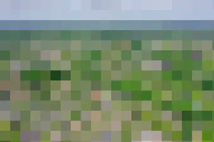 Zingerskamp 4 Laren thumbnail 49