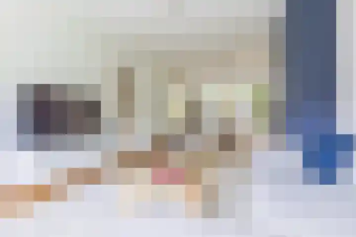 Zingerskamp 4 Laren thumbnail 8