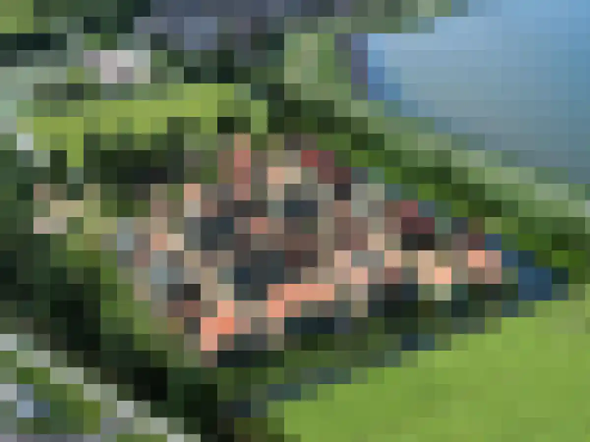 Zinkerwerf 79 Marken thumbnail 11