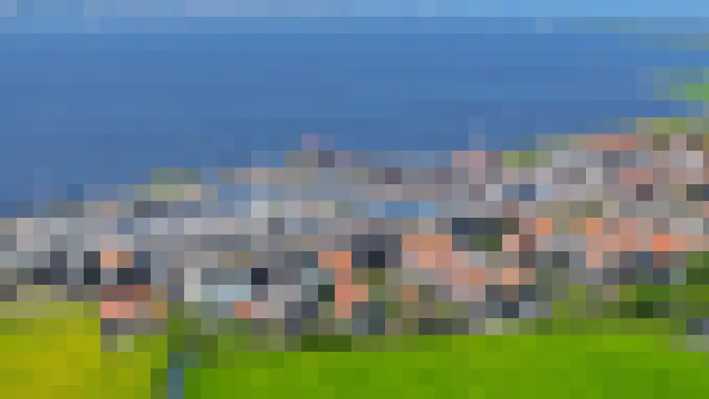 Zinkerwerf 79 Marken thumbnail 12