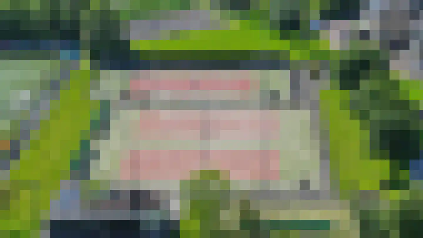 Zinkerwerf 79 Marken thumbnail 14