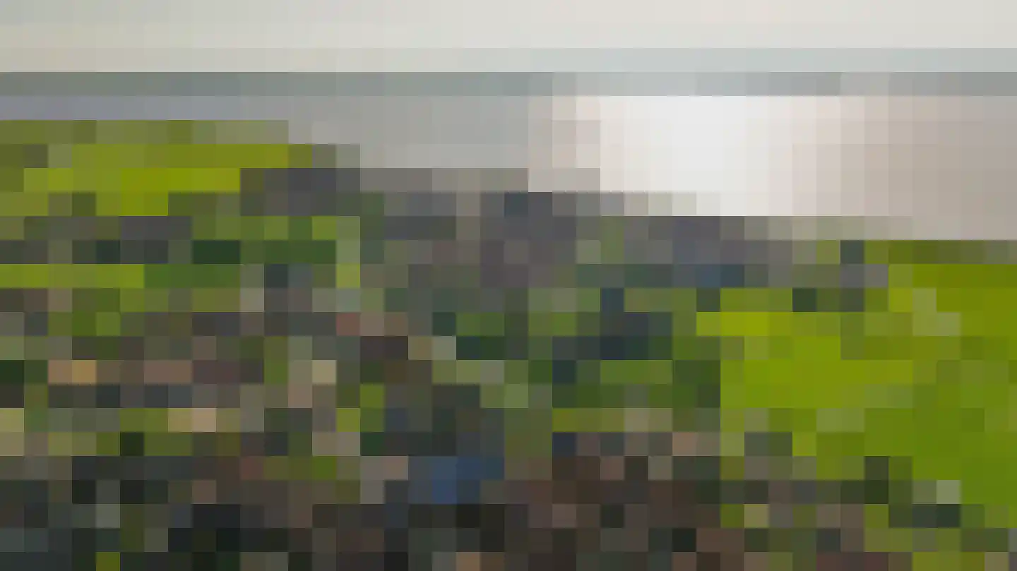 Zinkerwerf 79 Marken thumbnail 15
