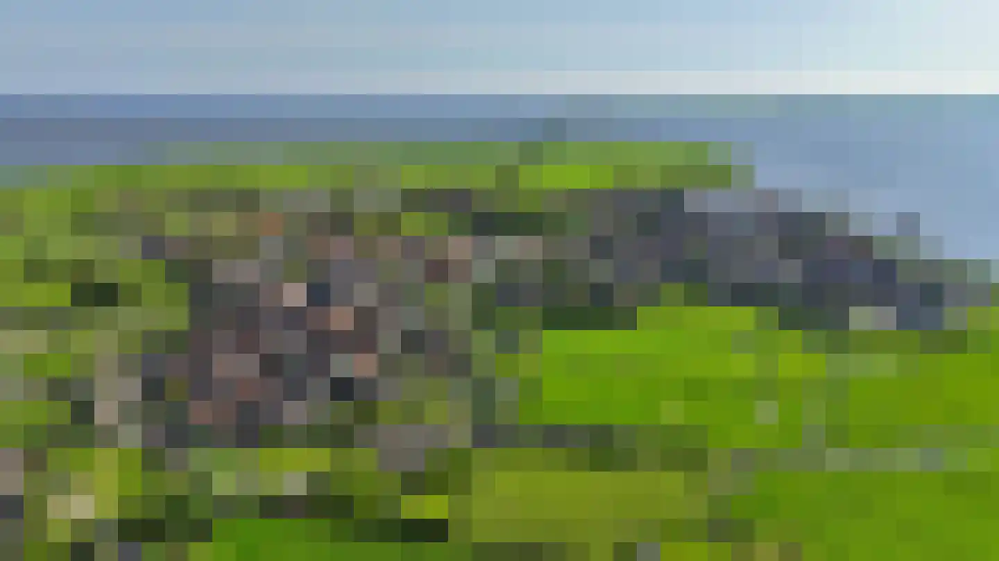 Zinkerwerf 79 Marken thumbnail 17
