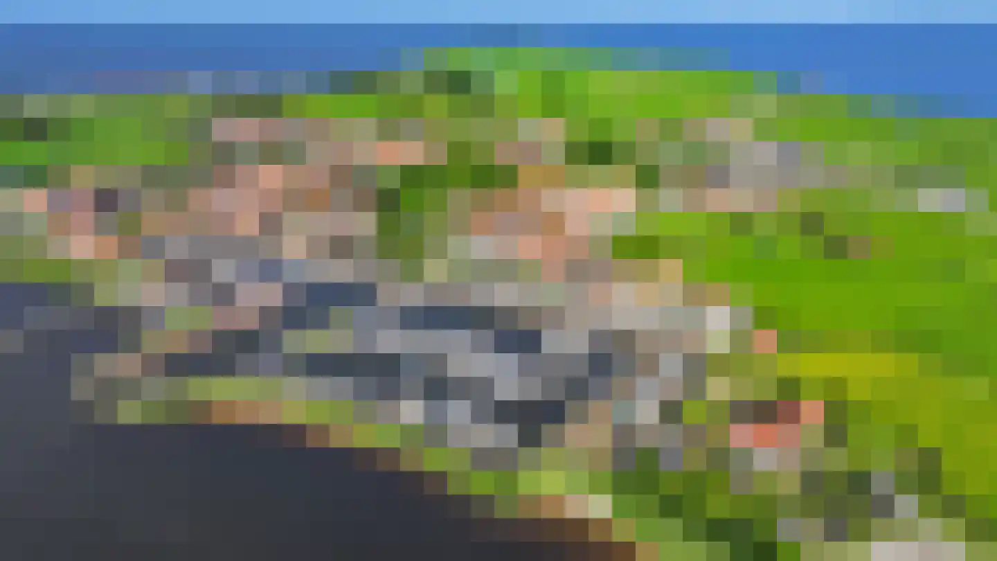Zinkerwerf 79 Marken thumbnail 19