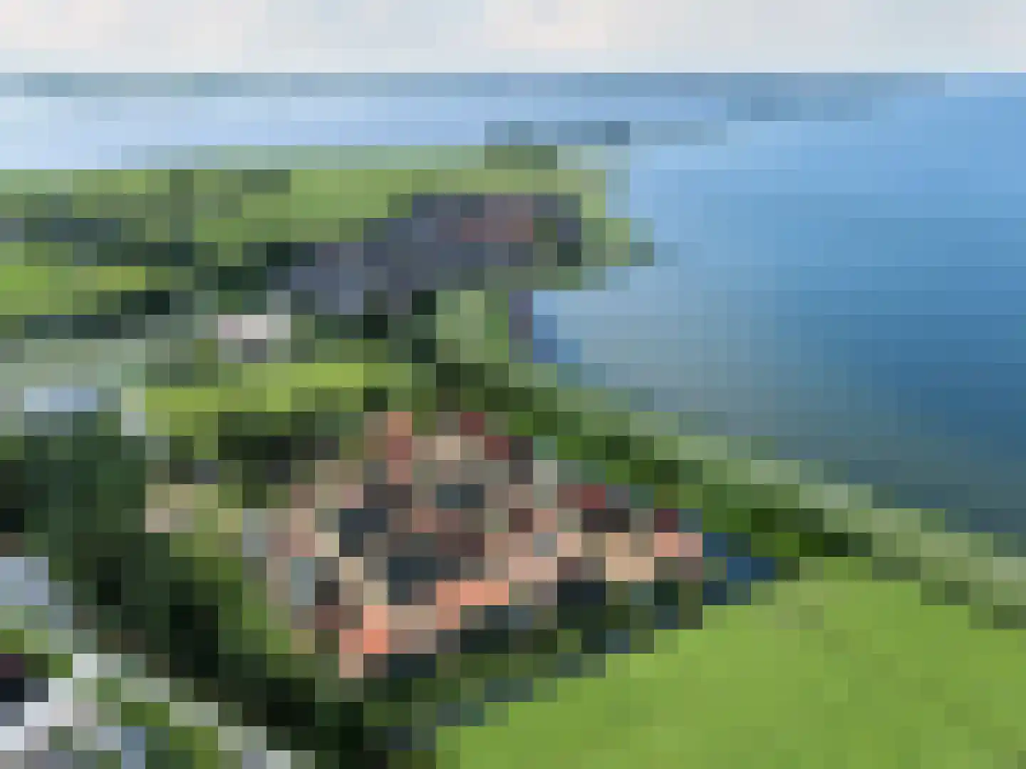 Zinkerwerf 79 Marken thumbnail 5