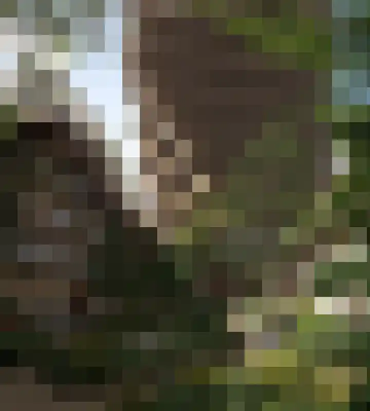 Zinranapad 199 Amsterdam thumbnail 11