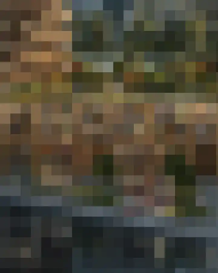 Zinranapad 199 Amsterdam thumbnail 8
