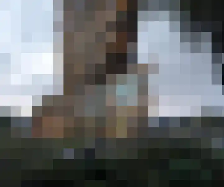 Zinranapad 199 Amsterdam thumbnail 9