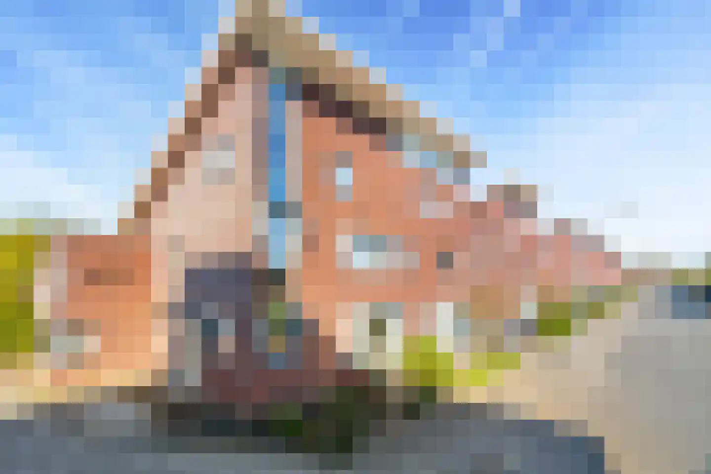 Zintele 16 in Pijnacker
