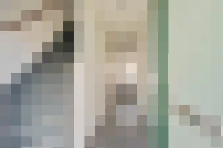 Zirkoon 22 Duiven thumbnail 11