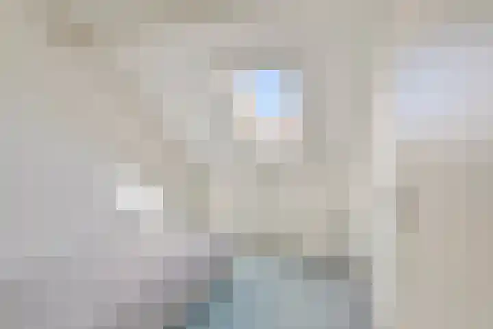 Zirkoon 22 Duiven thumbnail 17