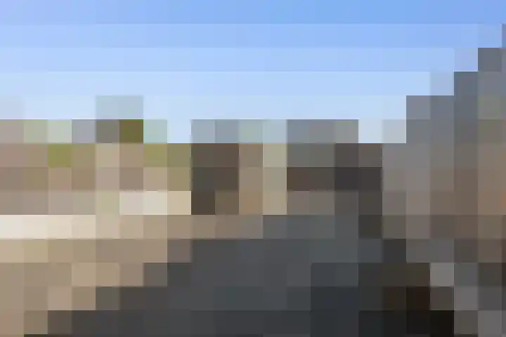Zirkoon 22 Duiven thumbnail 23