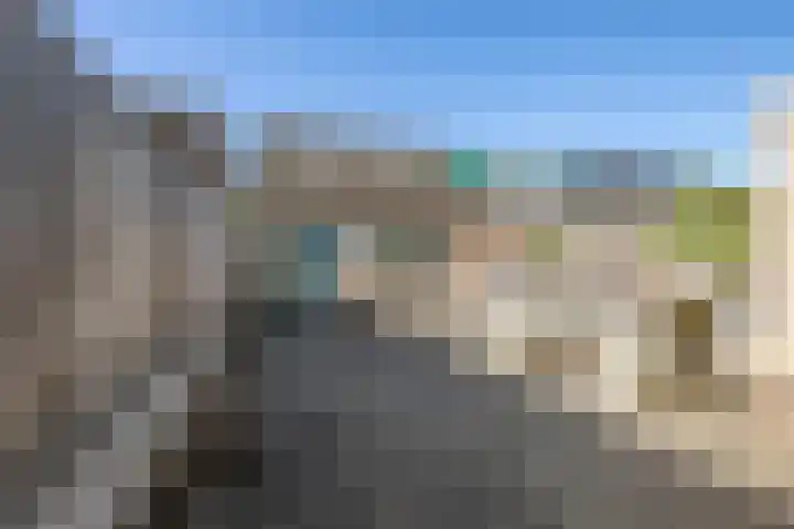 Zirkoon 22 Duiven thumbnail 24