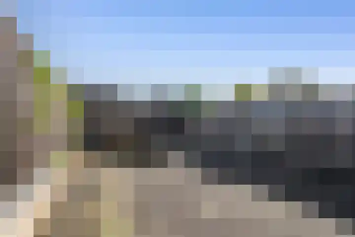 Zirkoon 22 Duiven thumbnail 25