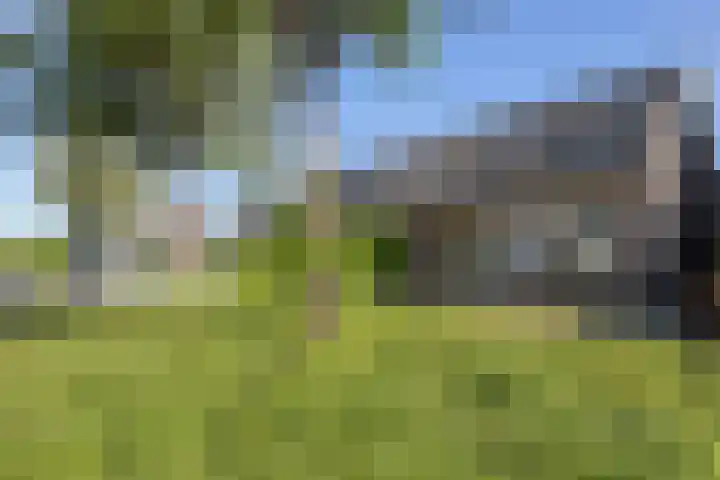 Zirkoon 22 Duiven thumbnail 30