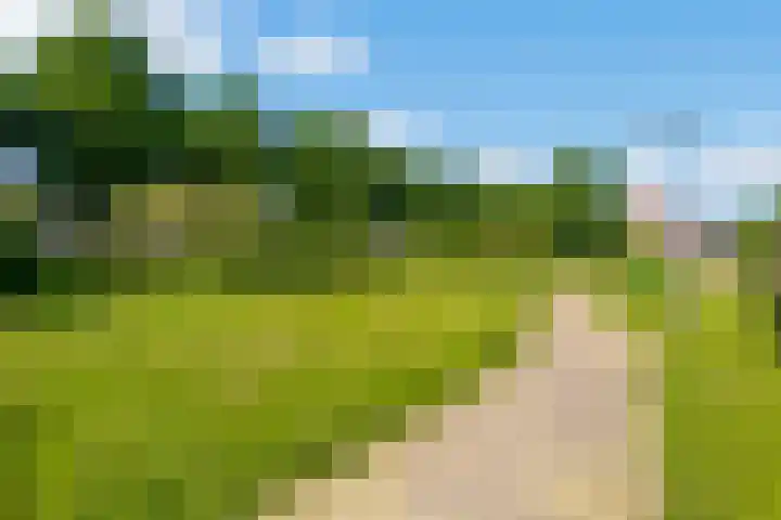 Zirkoon 22 Duiven thumbnail 32