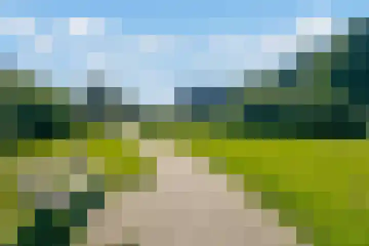 Zirkoon 22 Duiven thumbnail 33