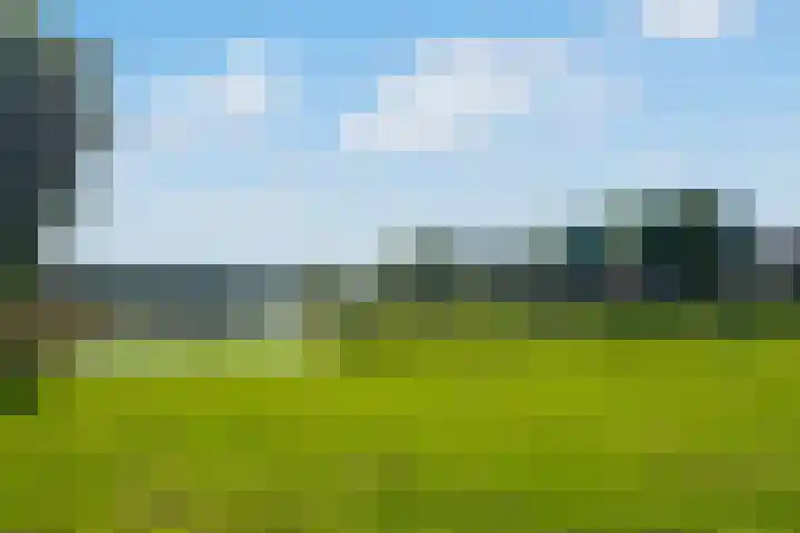 Zirkoon 22 Duiven thumbnail 37