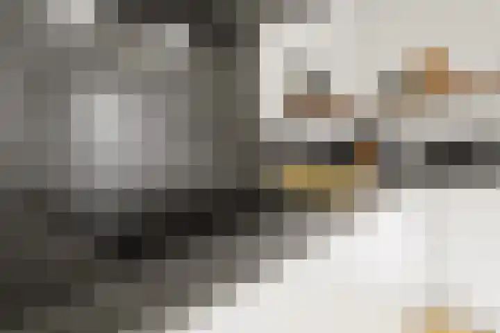 Zirkoon 3 Venlo thumbnail 20