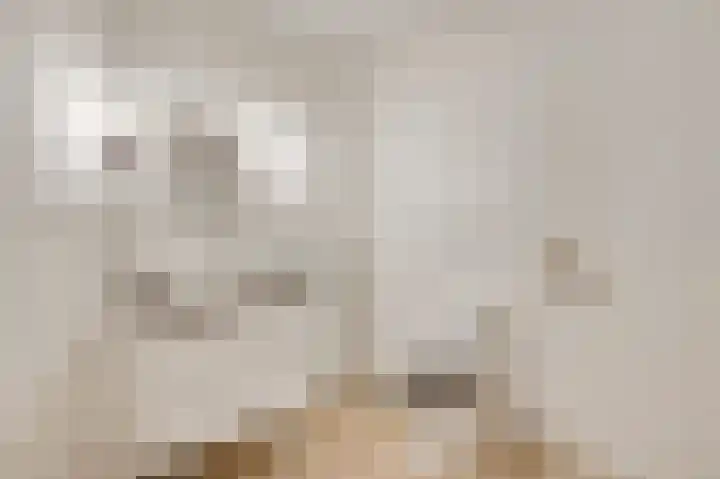 Zitterd 2 a Soerendonk thumbnail 10