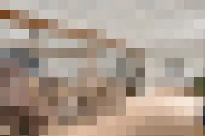 Zitterd 2 a Soerendonk thumbnail 14
