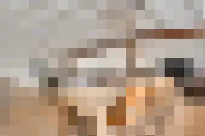 Zitterd 2 a Soerendonk thumbnail 16