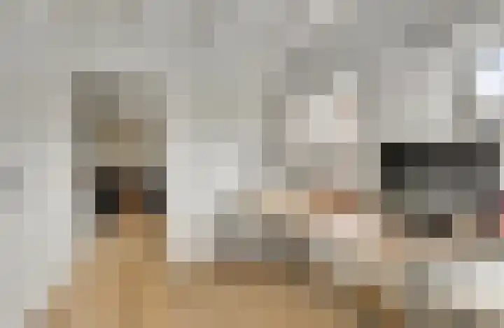 Zitterd 2 a Soerendonk thumbnail 17