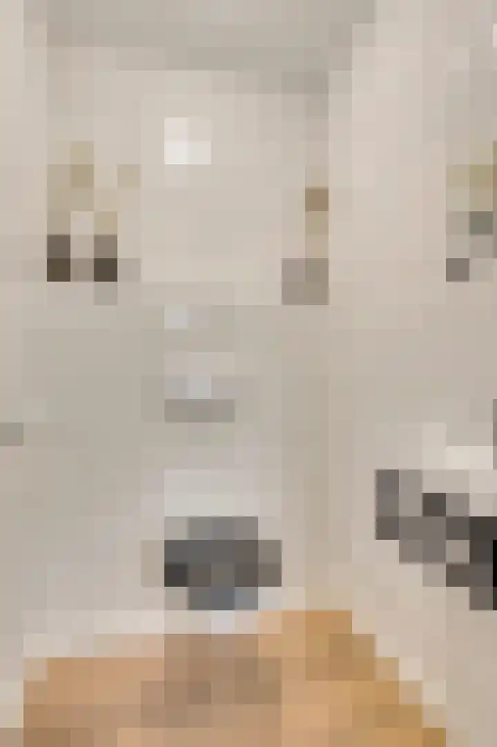 Zitterd 2 a Soerendonk thumbnail 19