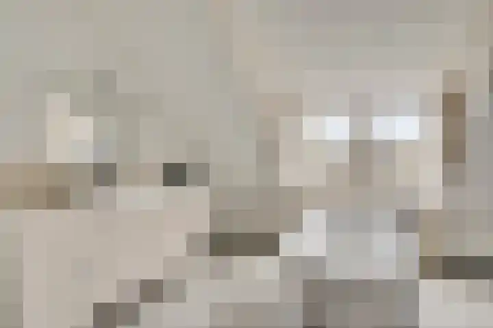 Zitterd 2 a Soerendonk thumbnail 38