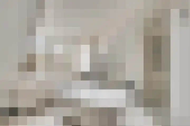 Zitterd 2 a Soerendonk thumbnail 39