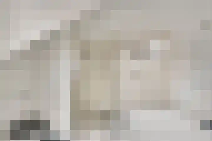 Zitterd 2 a Soerendonk thumbnail 40