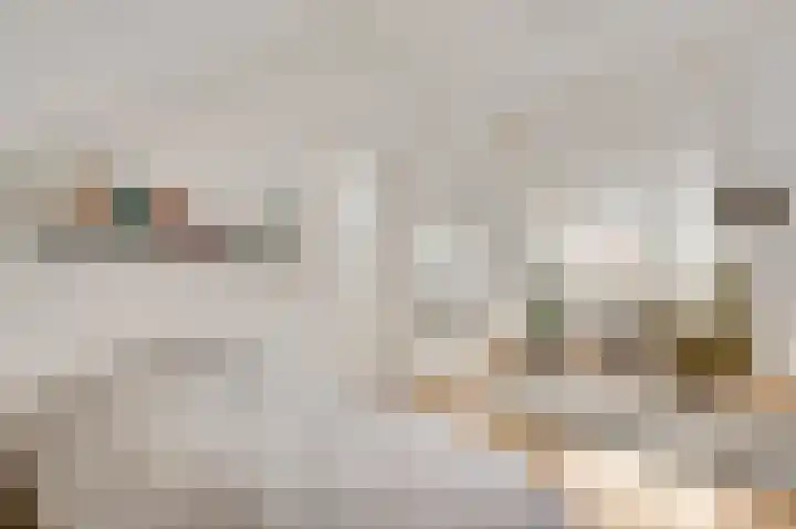 Zitterd 2 a Soerendonk thumbnail 42