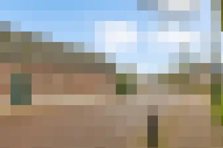Zitterd 2 a Soerendonk thumbnail 54