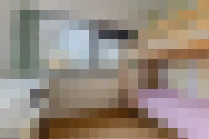 Zocalo 13 Assendelft thumbnail 20