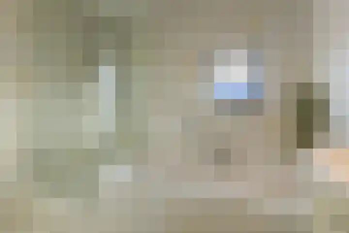 Zocalo 13 Assendelft thumbnail 25