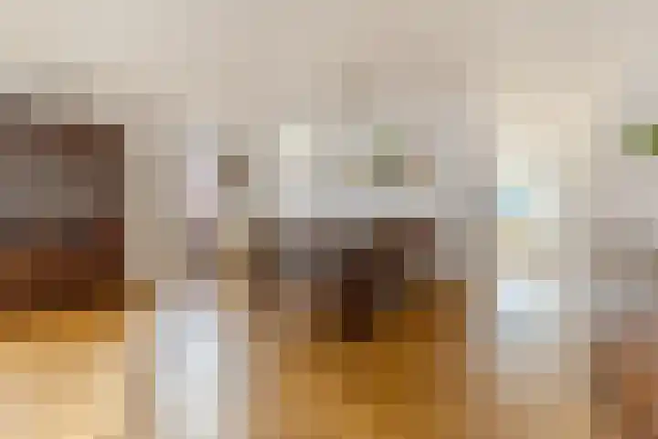 Zocalo 13 Assendelft thumbnail 4