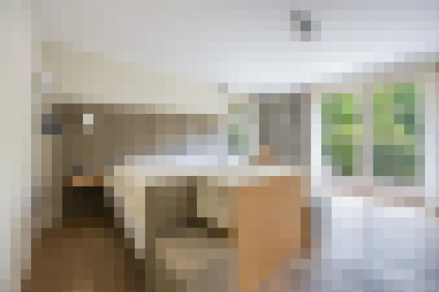 Zoeksestraat 19 Schijf thumbnail 10