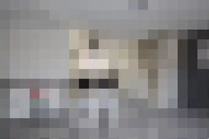 Zoeloestraat 21 Purmerend thumbnail 16