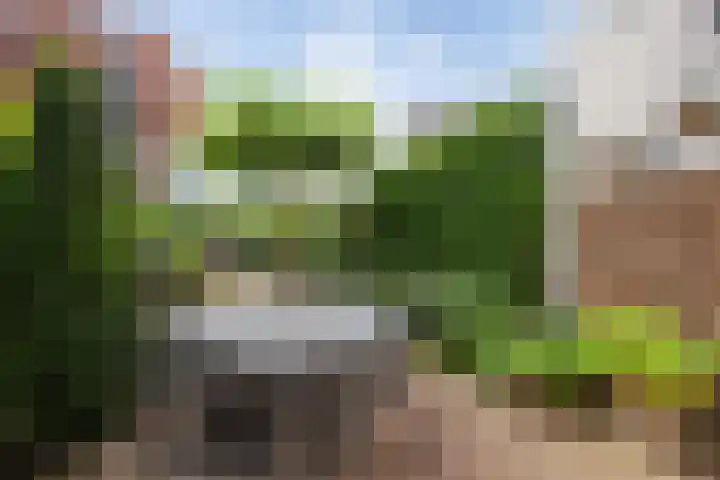 Zoemerenstraat 8 's-Hertogenbosch thumbnail 19