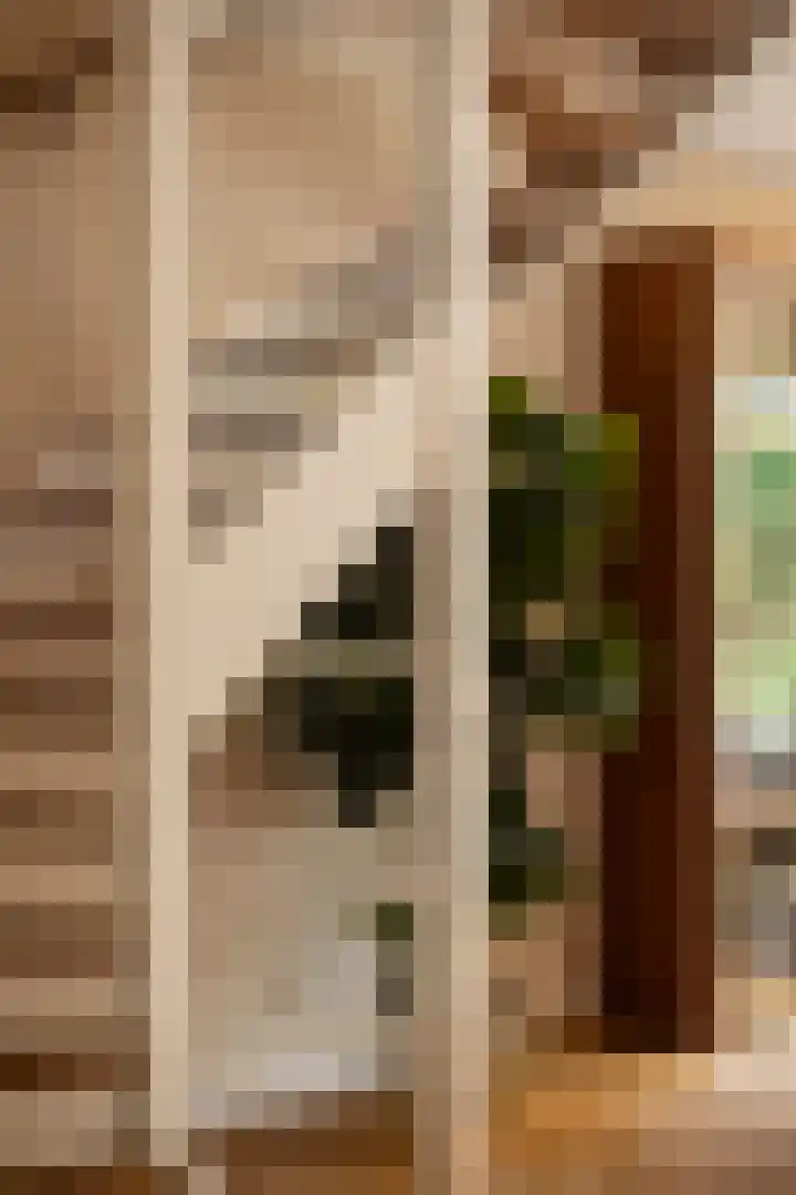 Zoemerenstraat 8 's-Hertogenbosch thumbnail 30