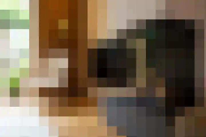Zoemerenstraat 8 's-Hertogenbosch thumbnail 5