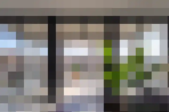 Zoete Kers 37 Helmond thumbnail 15