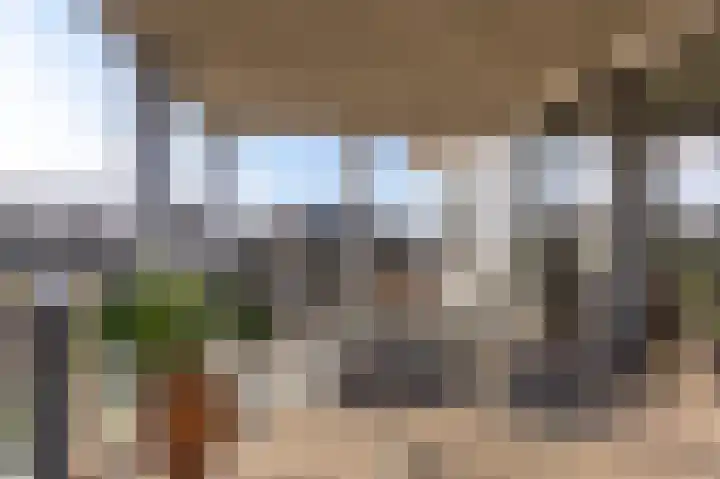 Zoete Kers 37 Helmond thumbnail 17