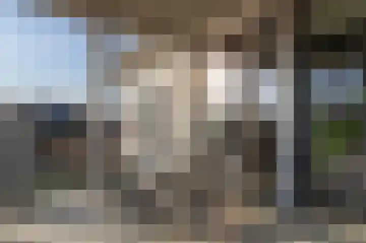 Zoete Kers 37 Helmond thumbnail 18