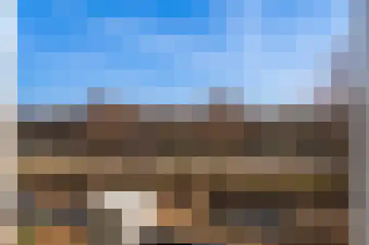 Zoete Kers 37 Helmond thumbnail 28